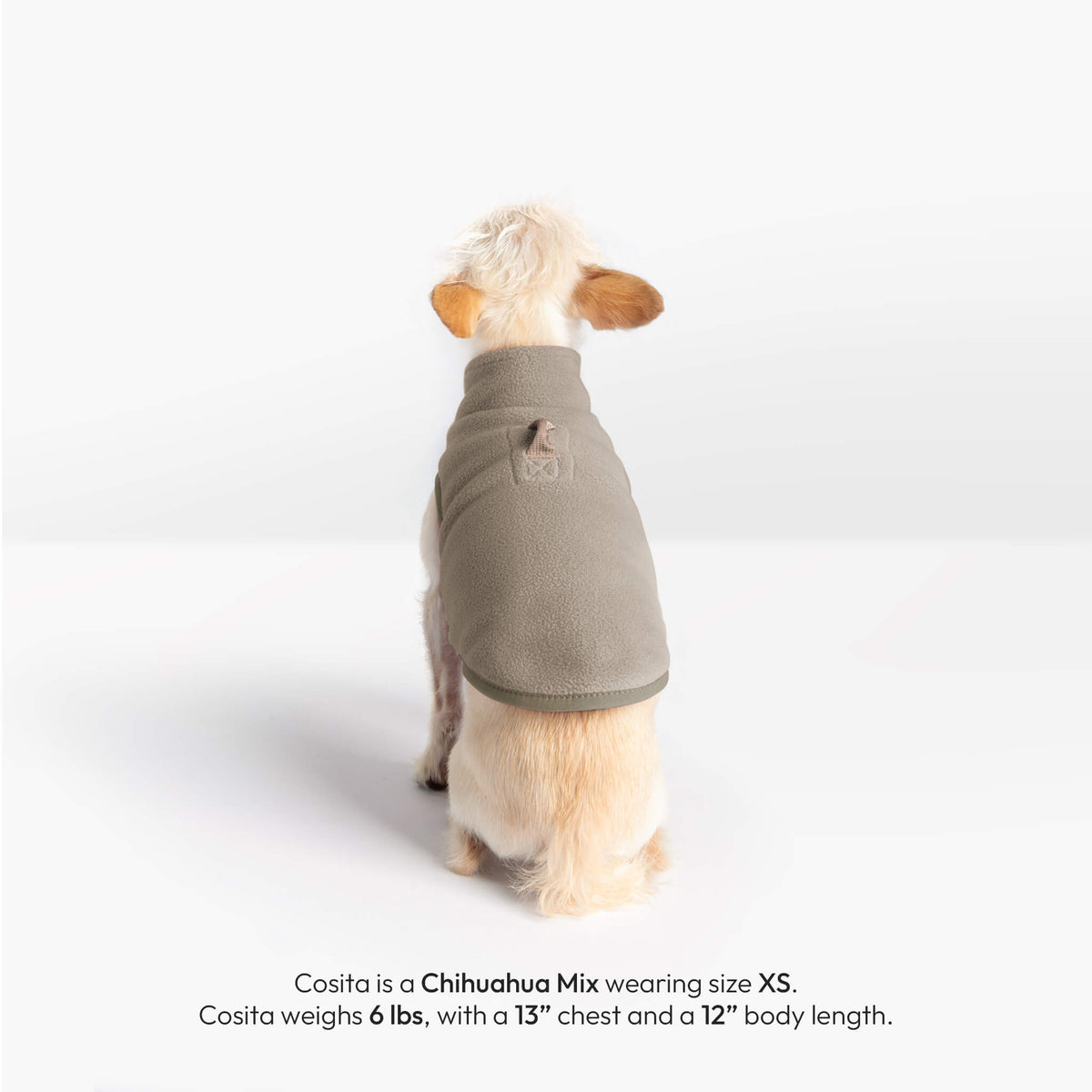 Small dog wearing a Warm Gray Everyday Fleece Matching Set, shown from the back
