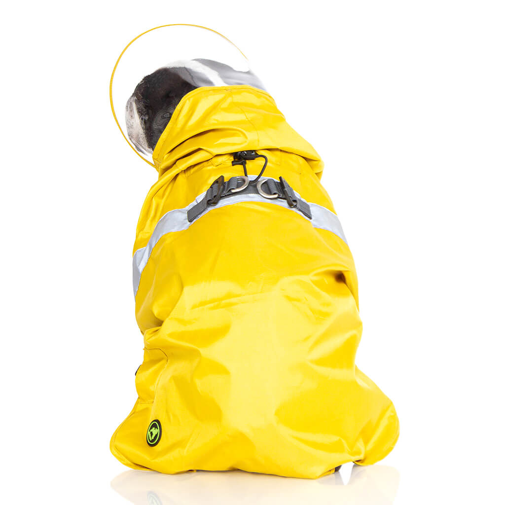 Raincoat Pro