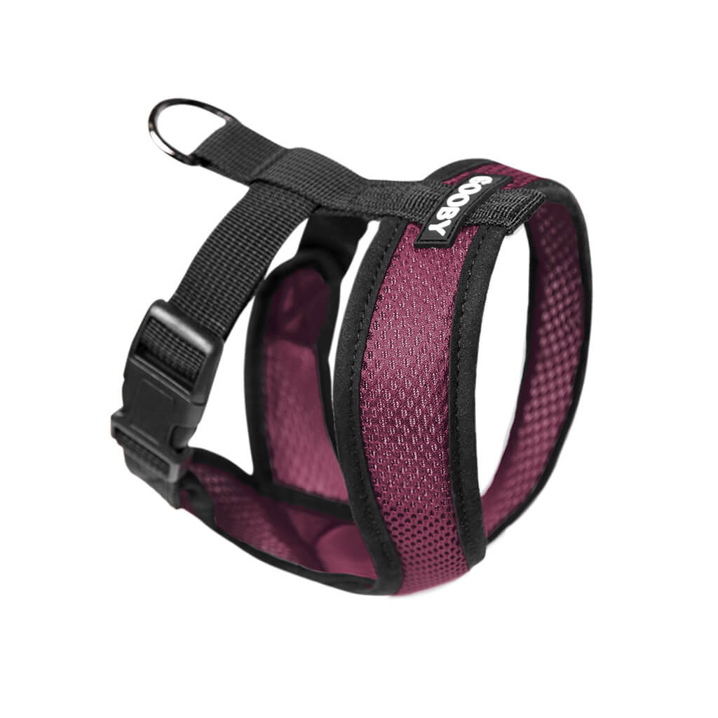Comfort X Harness