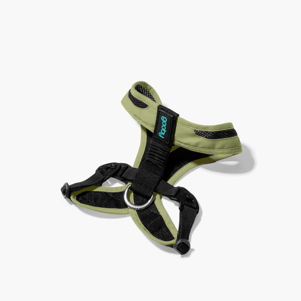 Escape Free Comfort X One