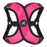 Flamingo Pink