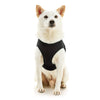 Escape Free Easy Fit Plus