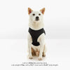 Escape Free Easy Fit Plus