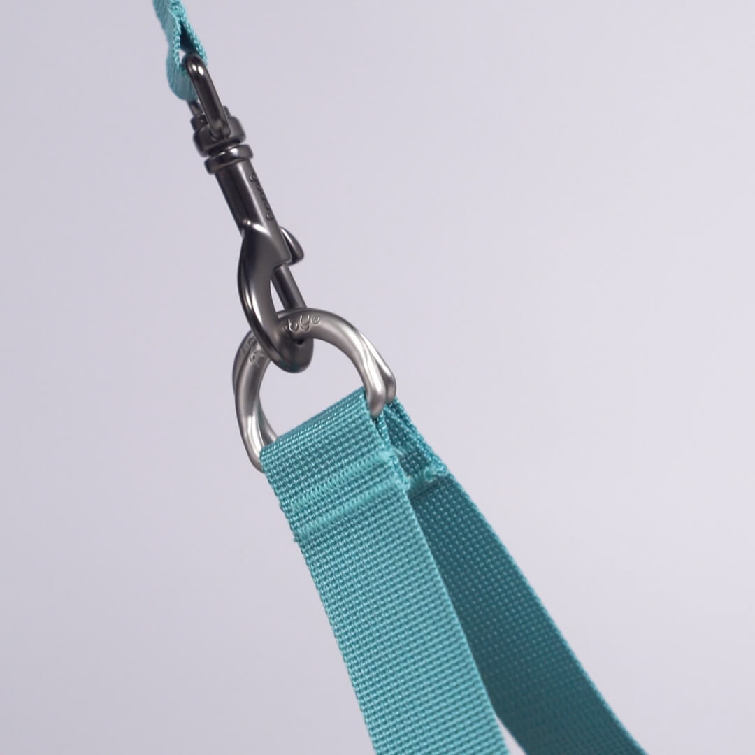 Close-up of a turquoise harness strap and metal clip