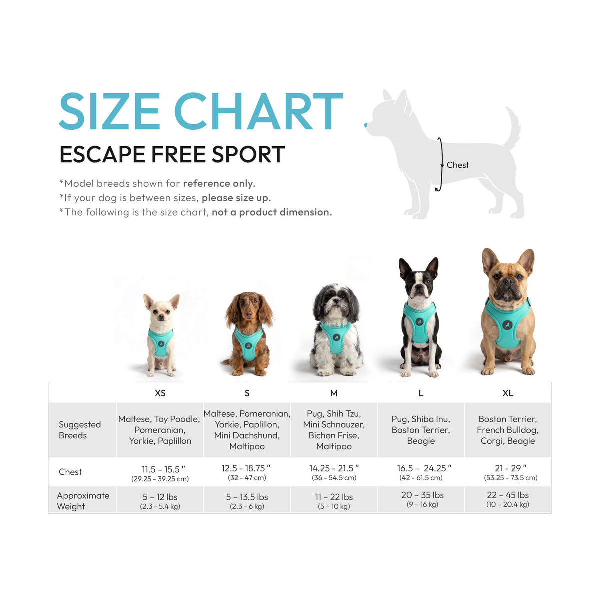 Escape Free Sport harness size chart showing dog size examples, chest measurements, and approximate weights.