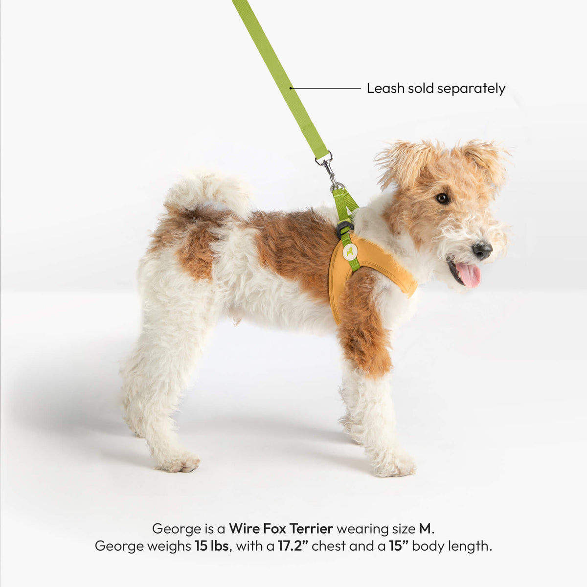 Small dog wearing a solid yellow step-in harness; green leash shown separately