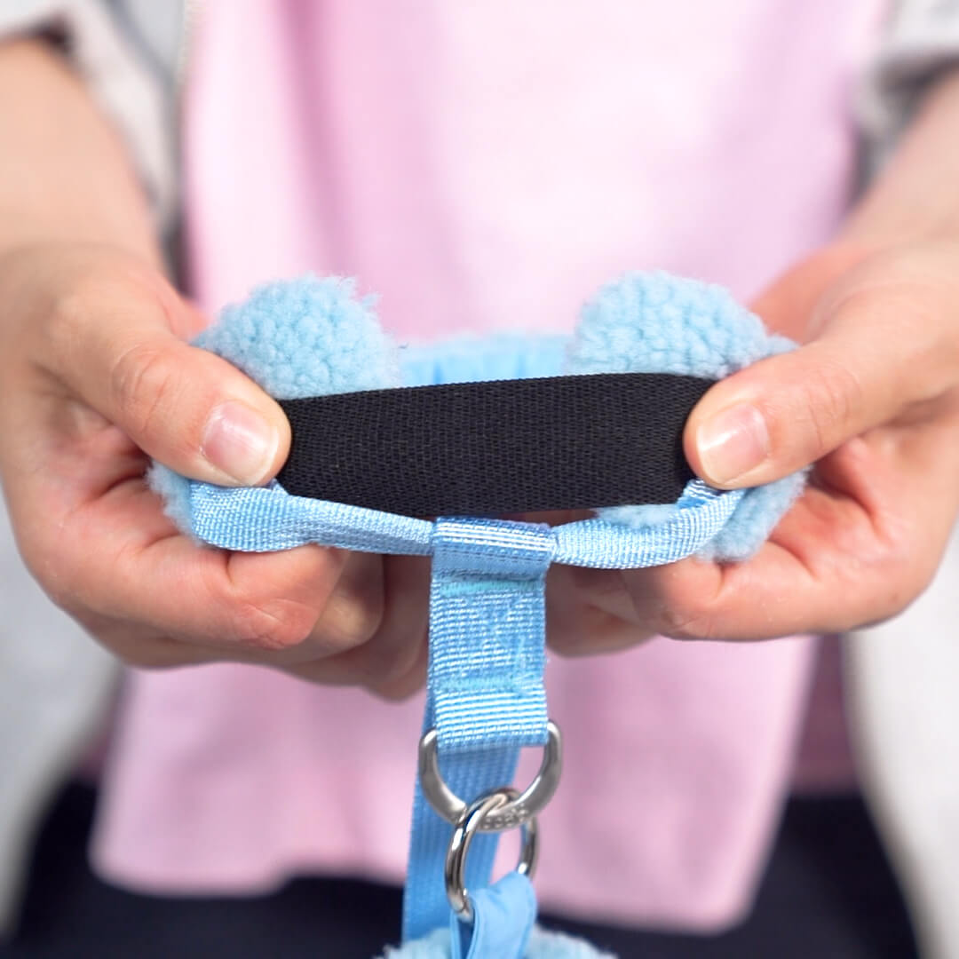 Close-up of a blue adjustable strap with a black lining and metal leash clip