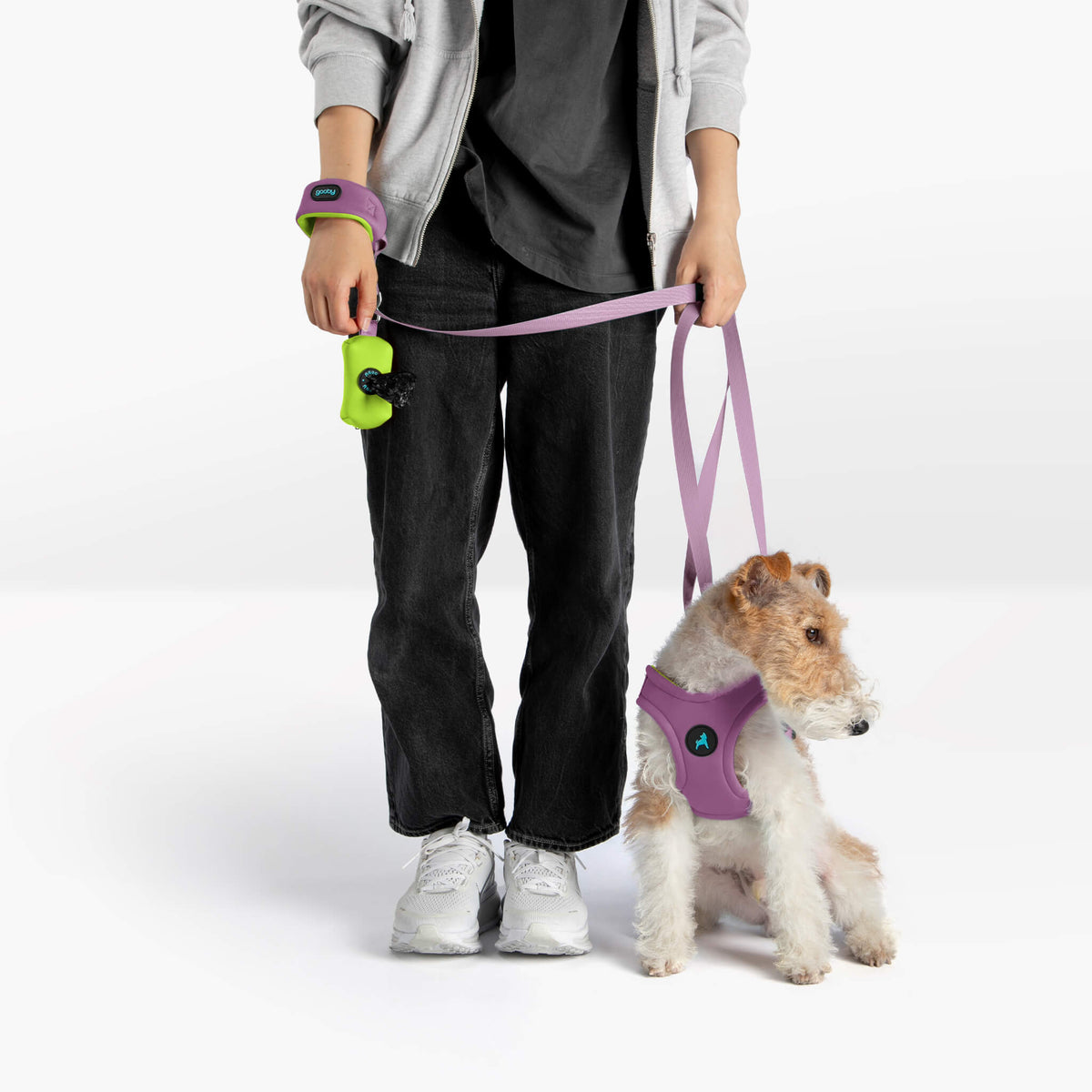 Dog wearing a lavender harness and matching leash while walking with a person