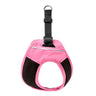 Flamingo Pink