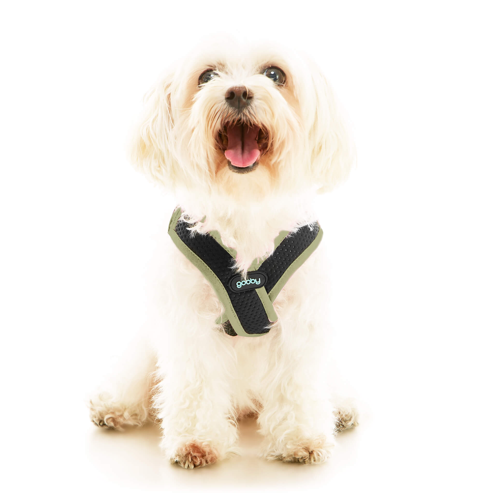 Escape Free Easy Fit X Hundegeschirr – Ausbruchssicher, Reflektierend, Größe XS, Farbe Vegas Schwarz