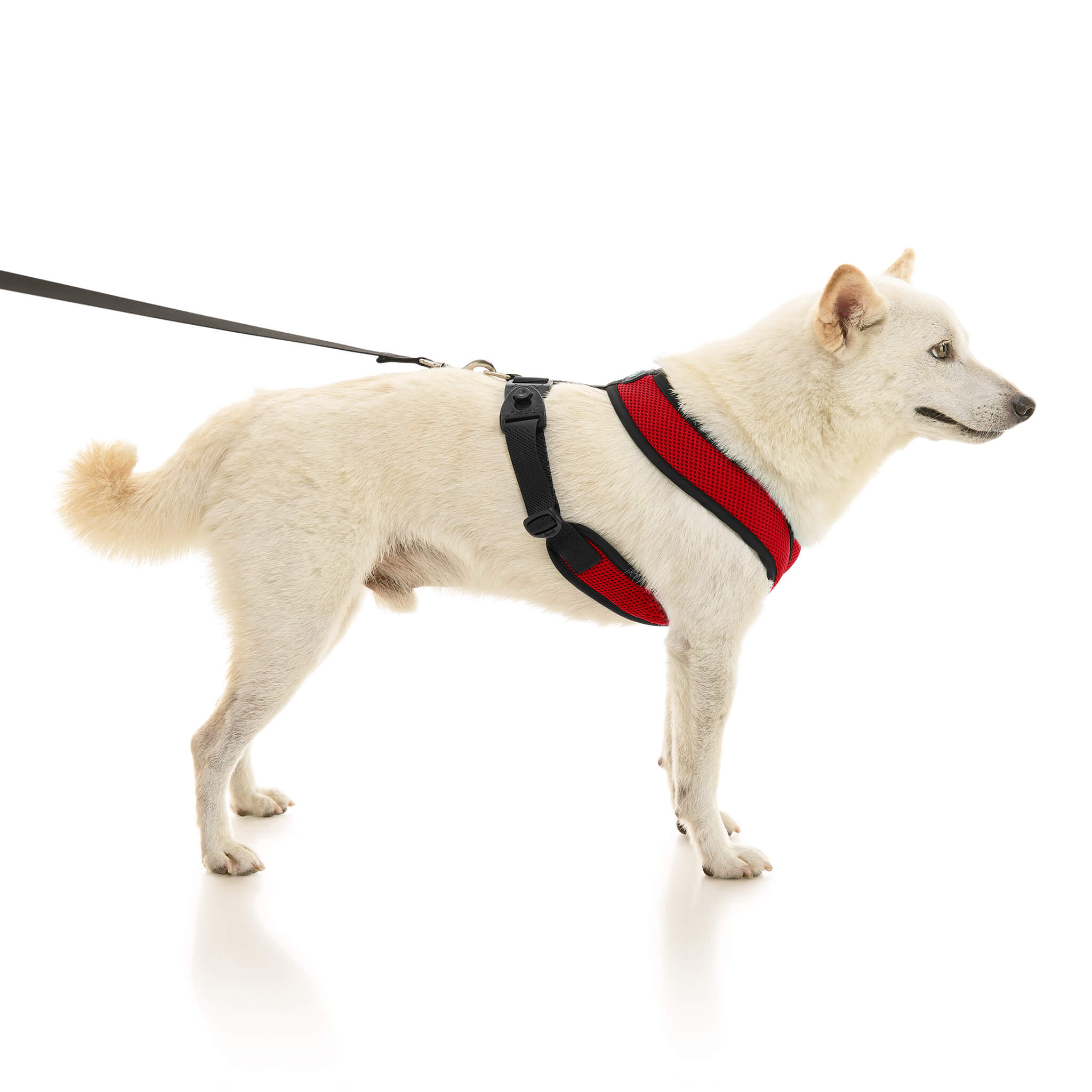 Comfort X Dual Snap Mesh – Gooby