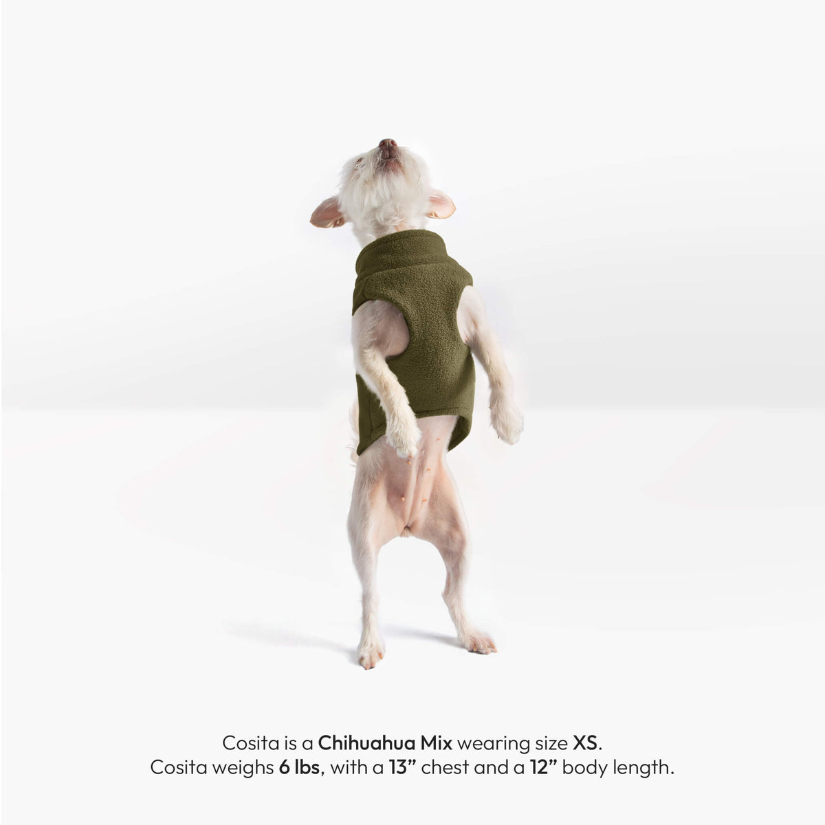 Chihuahua mix wearing an olive zip-up fleece vest; sizing details appear below.