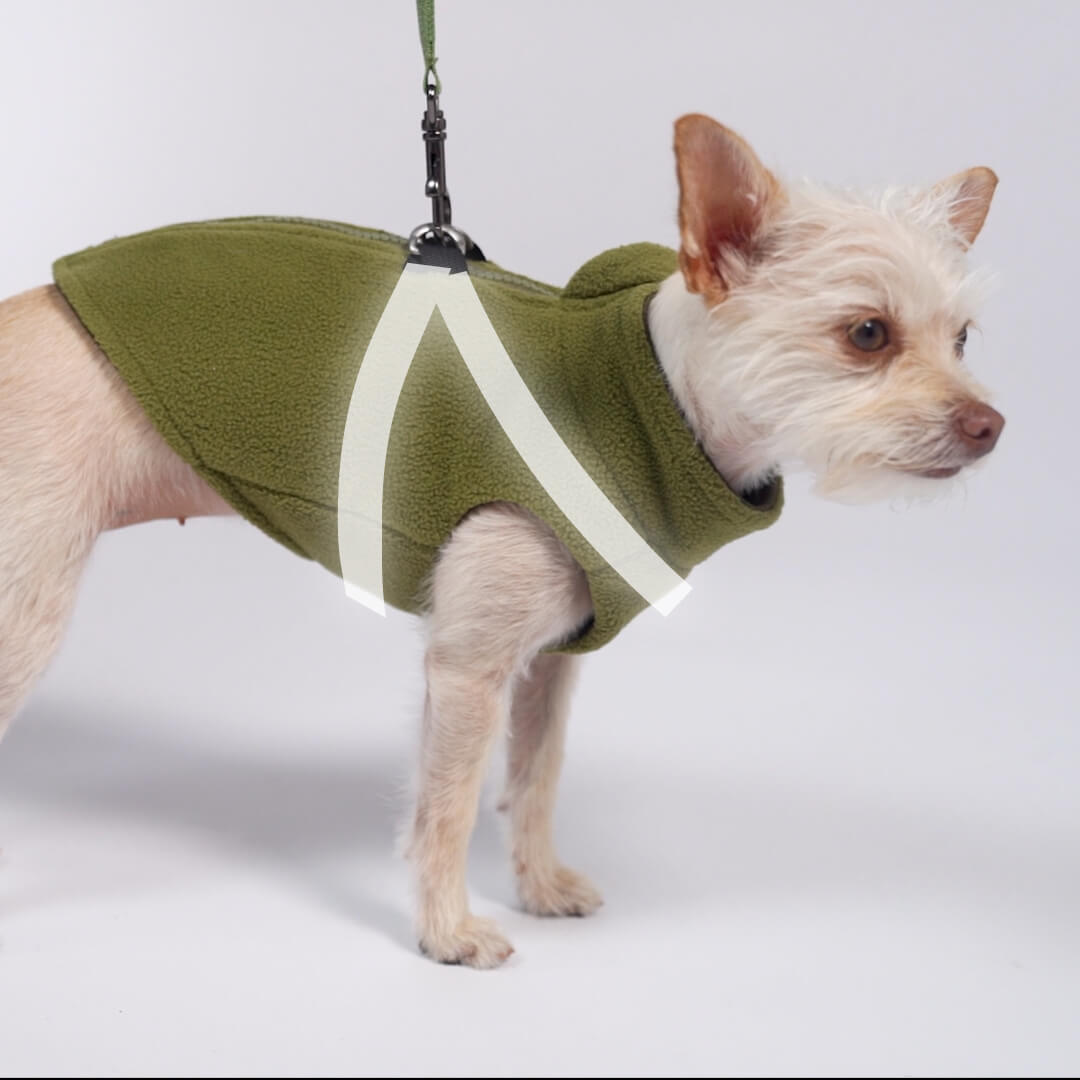 Small dog wearing an olive-green fleece vest with reflective trim