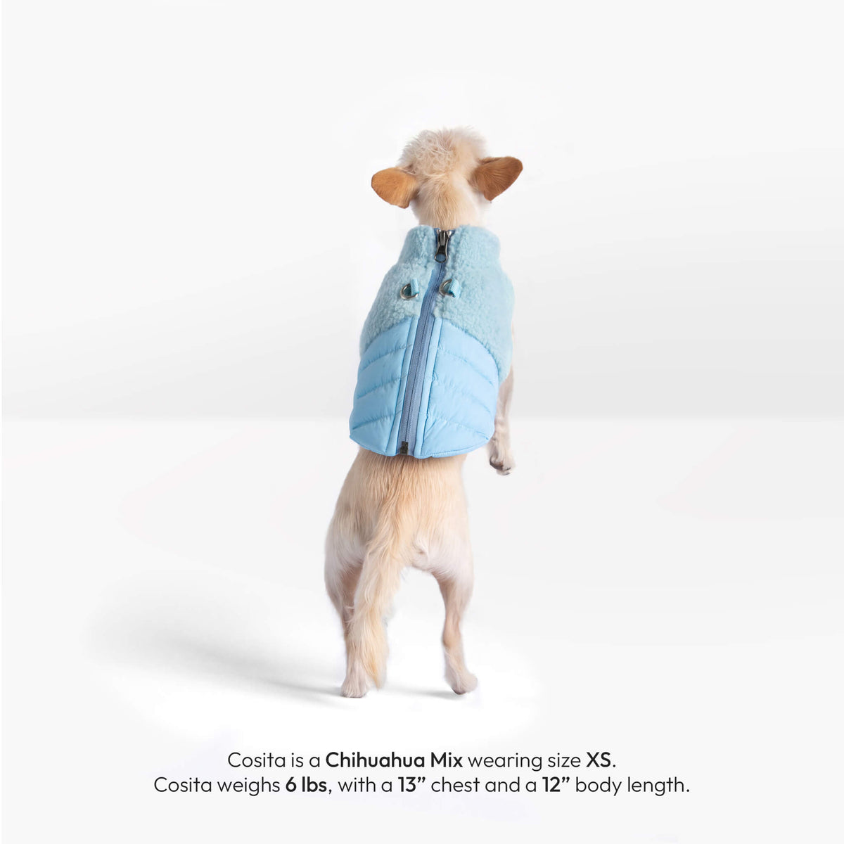 Dog wearing a baby blue sherpa puffer vest, shown from the back