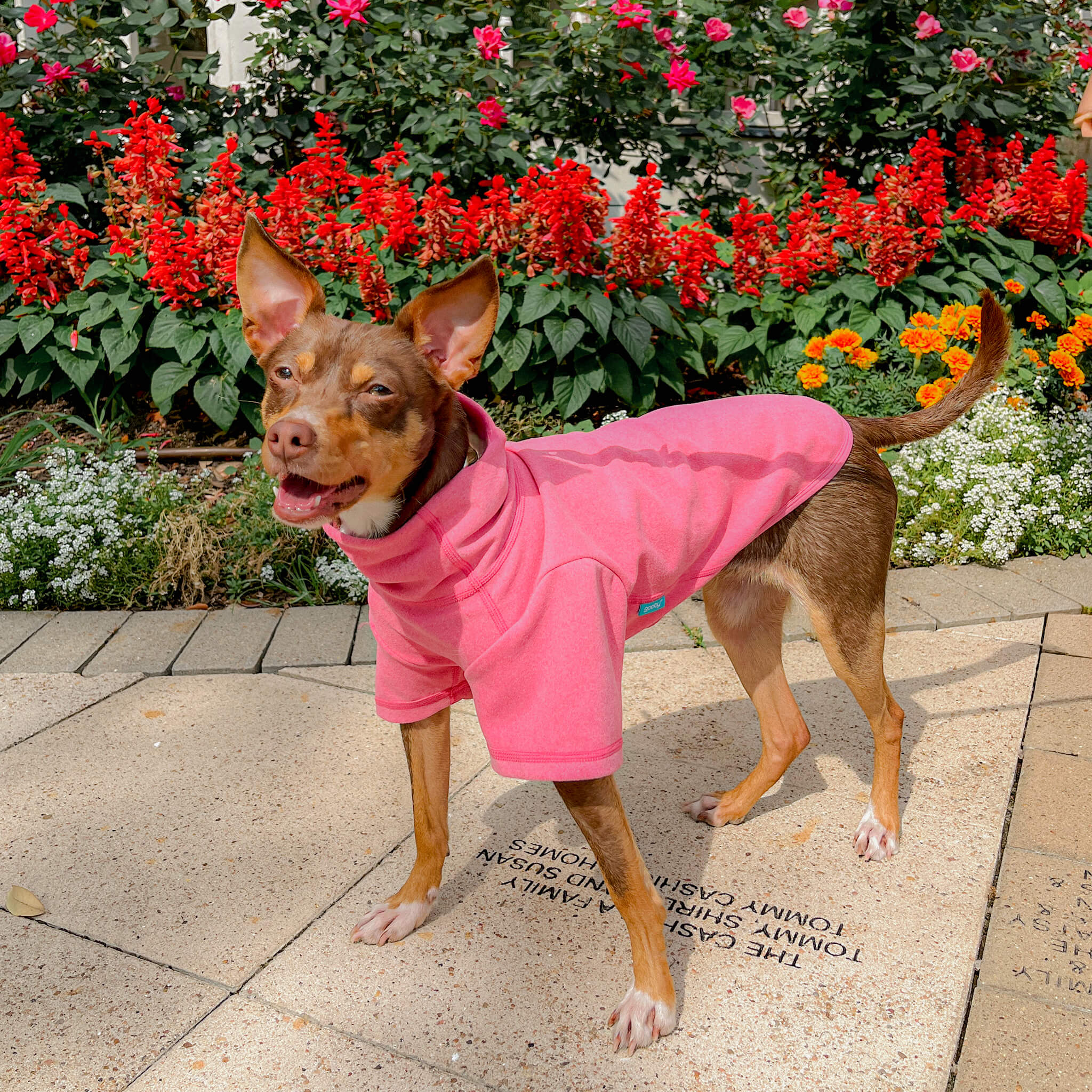 Turtle Neck Microfiber Stretch Fleece – Gooby