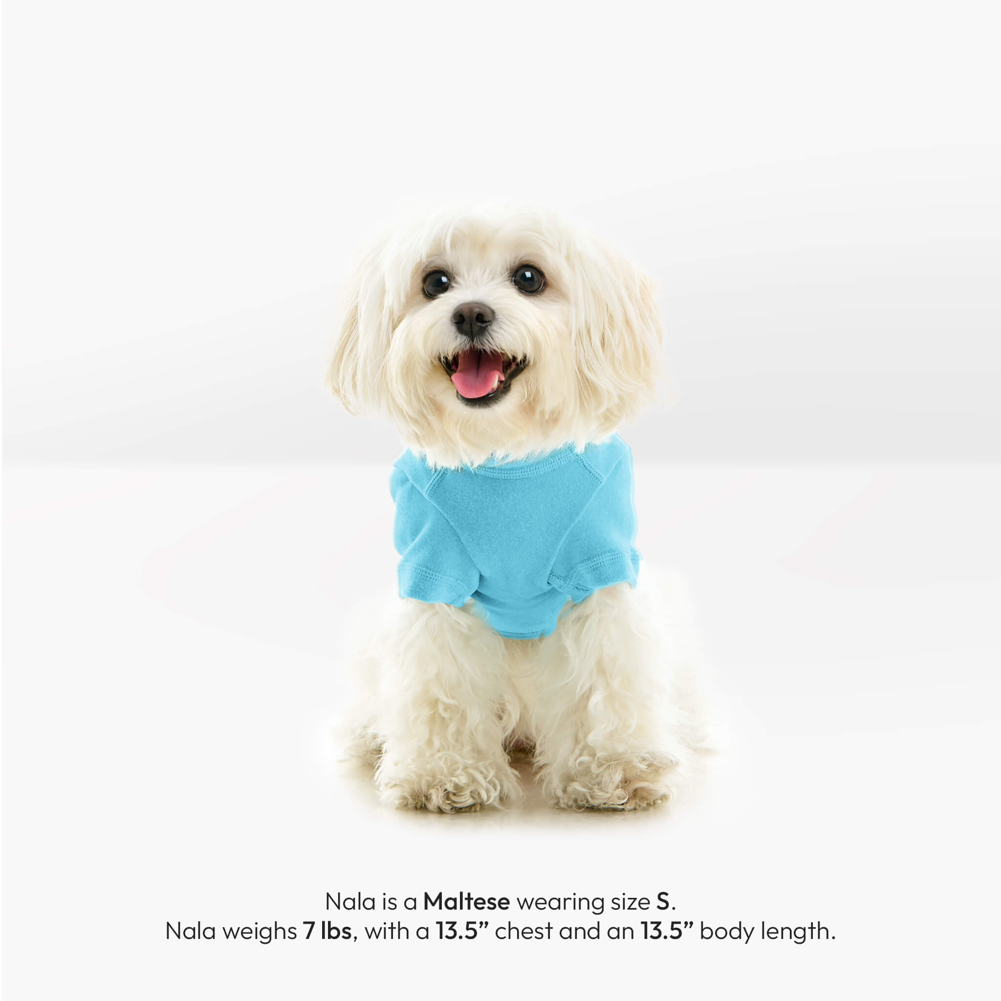 Turtle Neck Microfiber Stretch Fleece – Gooby