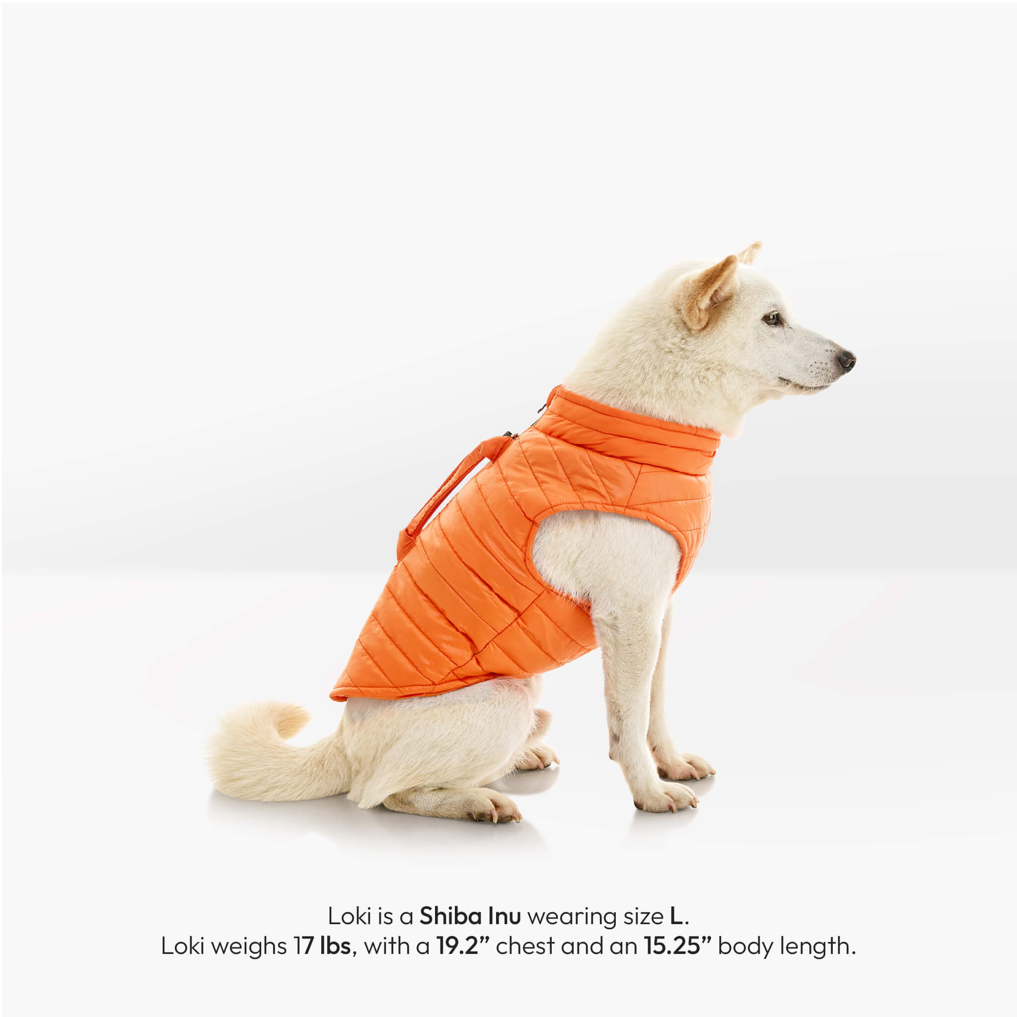 Puffer Vest Lift – Gooby