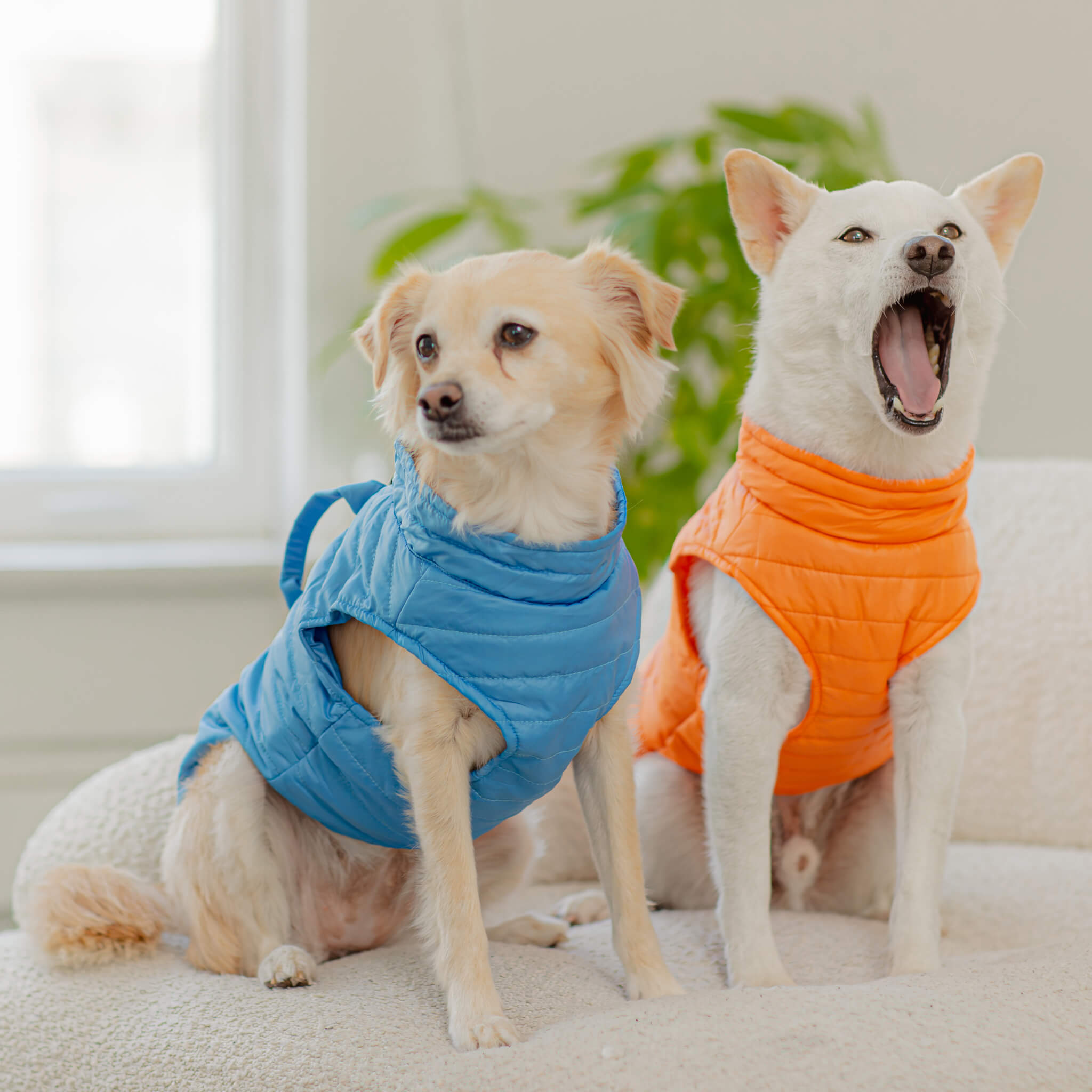 Puffer Vest Lift – Gooby