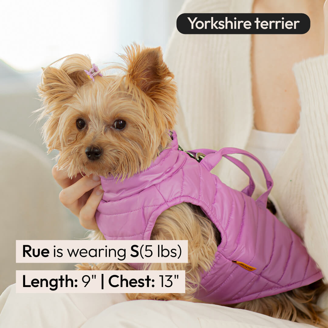 Puffer Vest Lift – Gooby