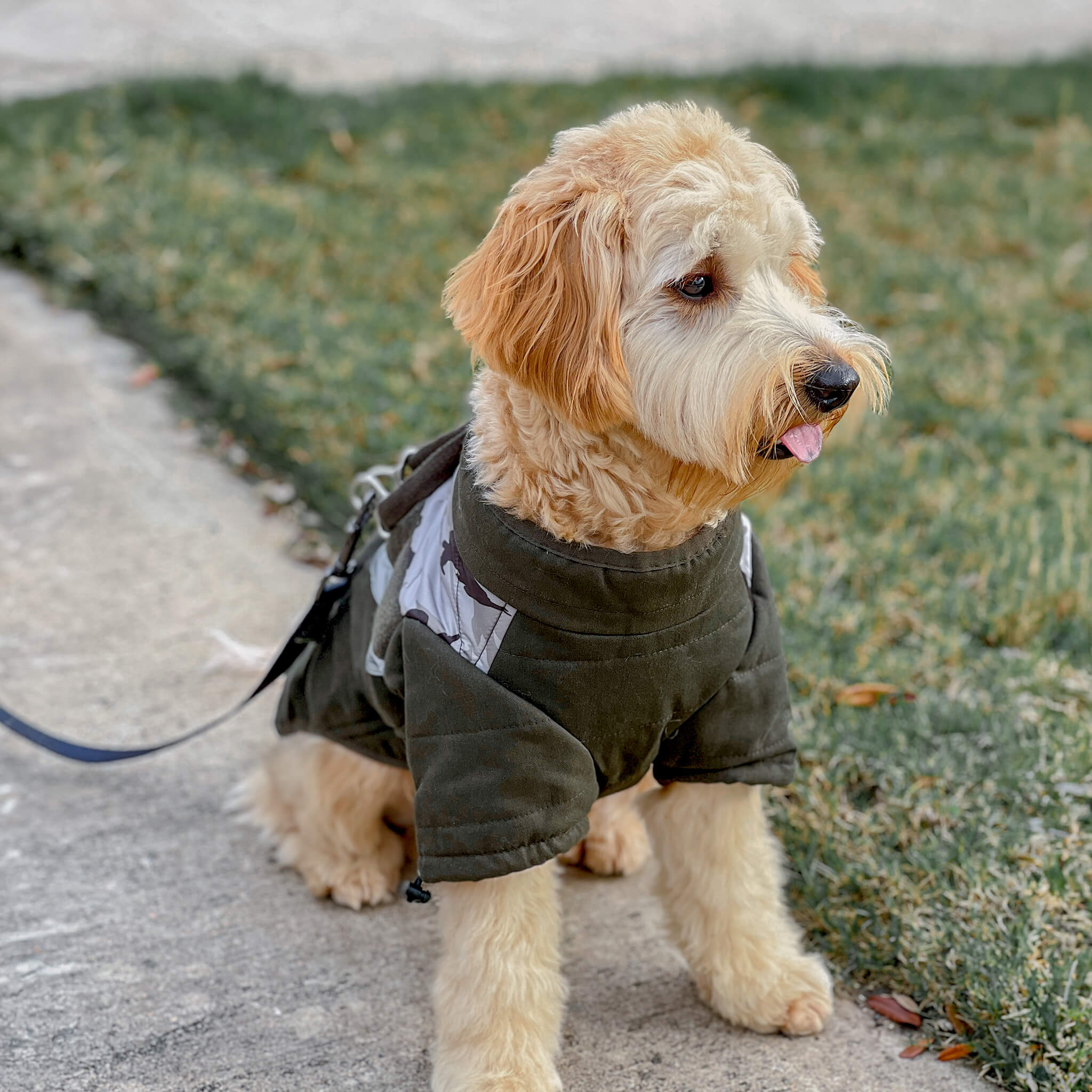 Mountaineer Jacket Camo – Gooby