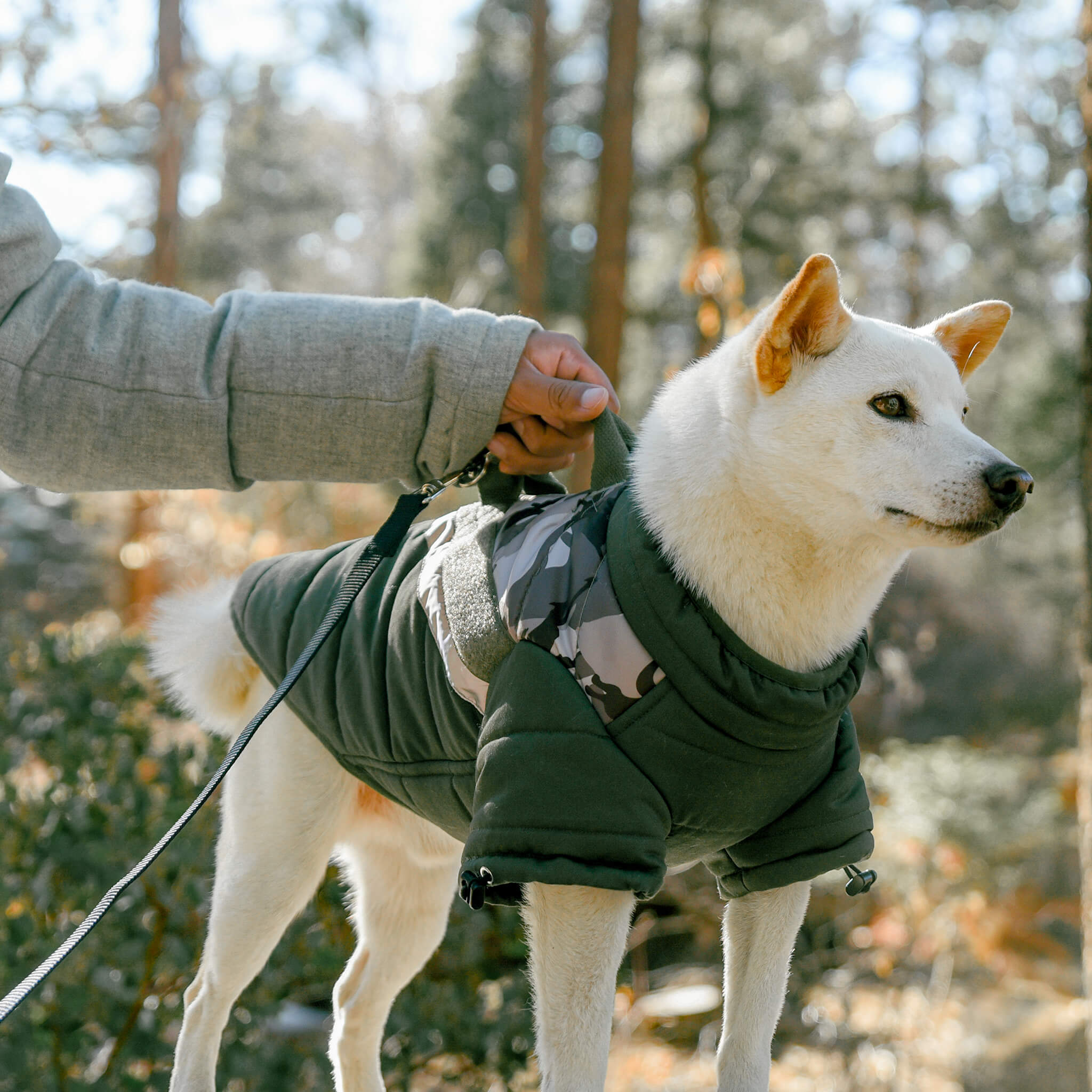 Mountaineer Jacket Camo – Gooby