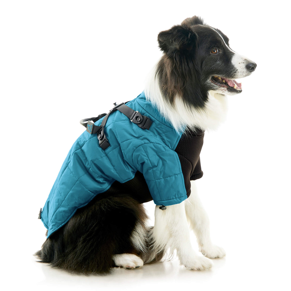 Alpine Explorer – Gooby