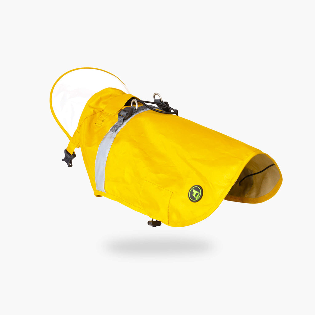 Raincoat V2