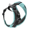 Escape Free Comfort X One