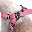 Close-up of a baby pink pastel harness on a fluffy dog