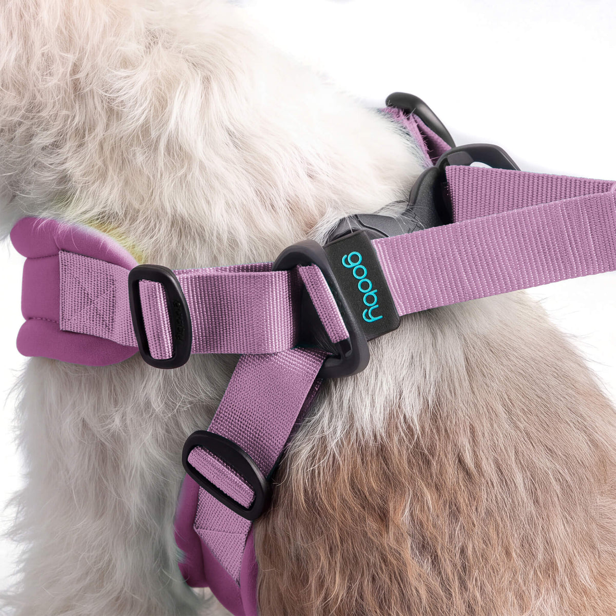 Close-up of a dog wearing a lavender Escape Free Sport Harness Pastel matching set