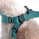 Close-up of a mint Escape Free harness fitted on a fluffy dog