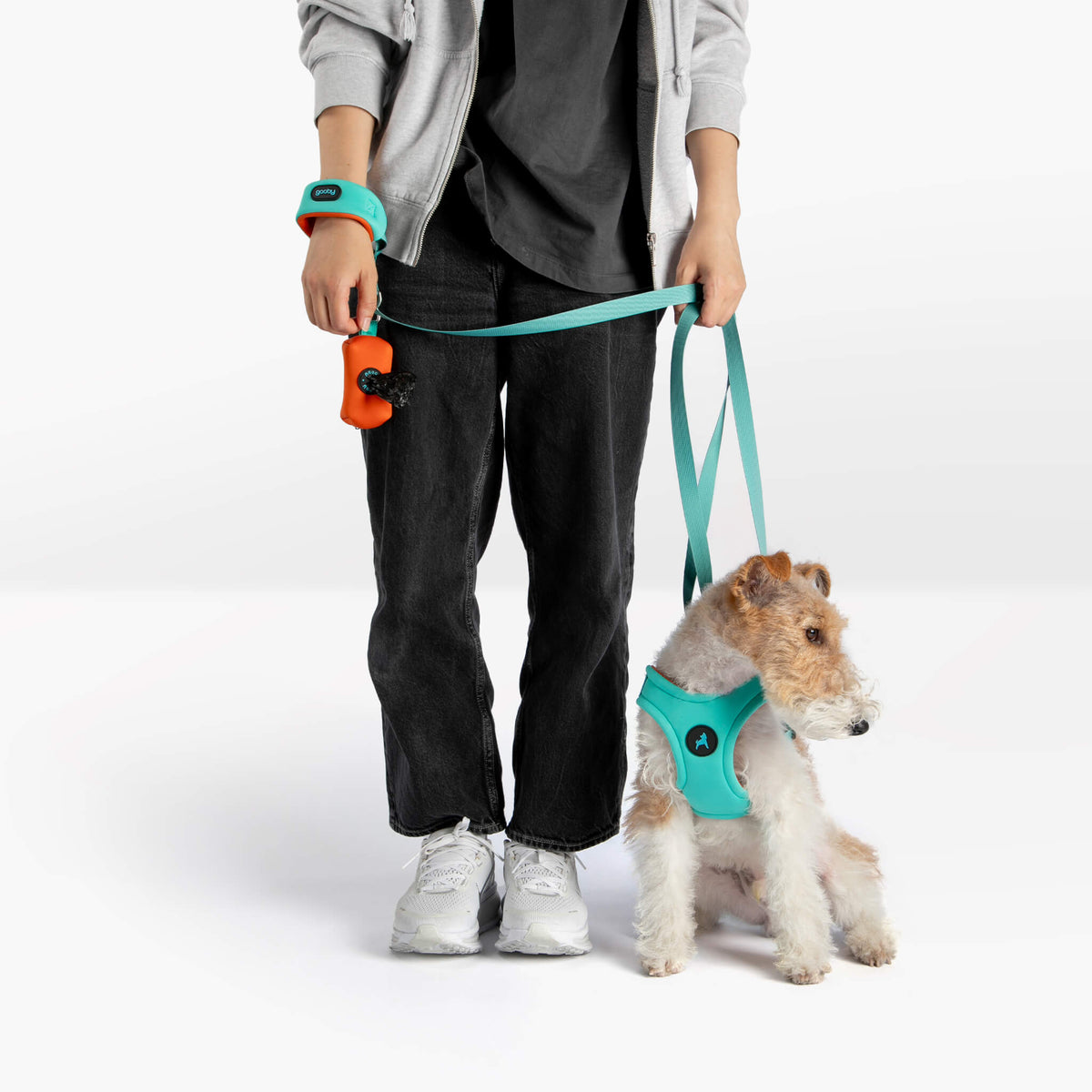 Dog wearing a mint harness and leash beside a person holding the matching lead