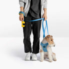 Person walking a dog wearing a sky blue harness and matching leash