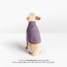 Back view of a small dog wearing a lavender fleece vest
