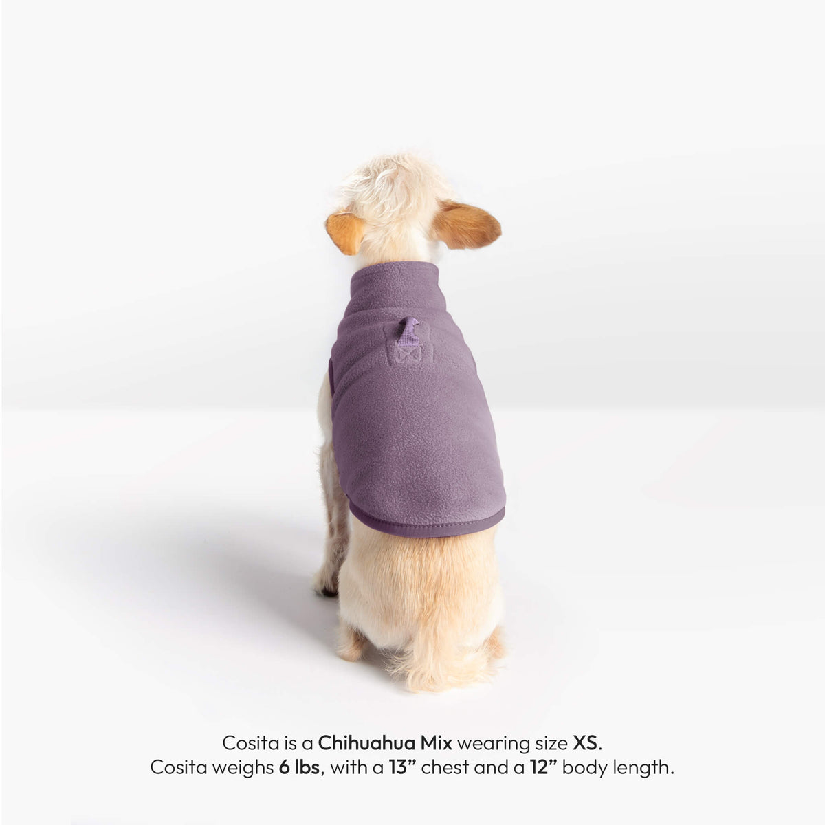 Back view of a small dog wearing a lavender fleece vest