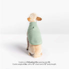 Dog wearing a mint Everyday Fleece Vest, shown from the back with sizing details for Cosita.