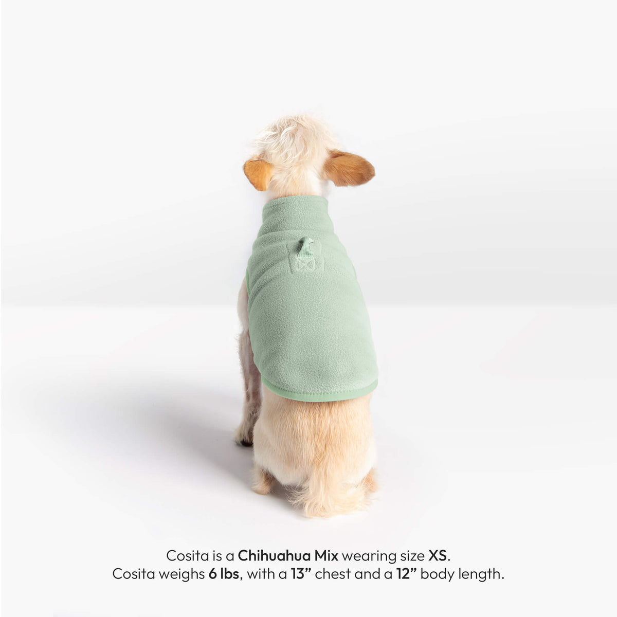 Dog wearing a mint Everyday Fleece Vest, shown from the back with sizing details for Cosita.