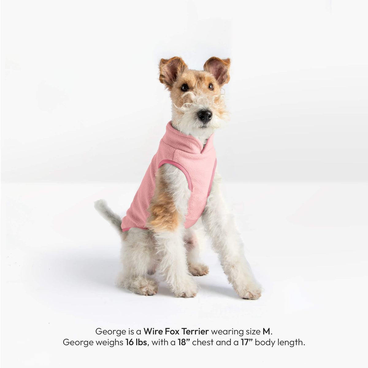 Pink Everyday Fleece matching set modeled on a seated Wire Fox Terrier; size M, 16 lb dog, 18-inch chest, 17-inch body.