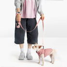 Small dog wearing a pink fleece vest with a matching pink leash beside a person