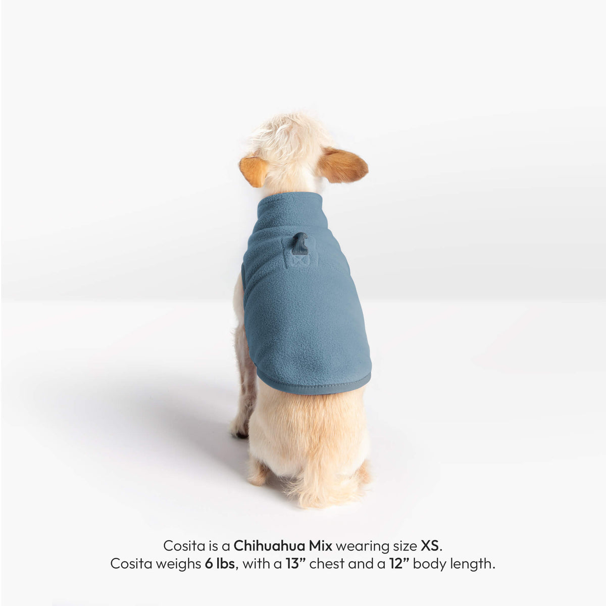 Small dog wearing a steel blue fleece vest, shown from the back
