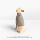Small dog wearing a Warm Gray Everyday Fleece Matching Set, shown from the back