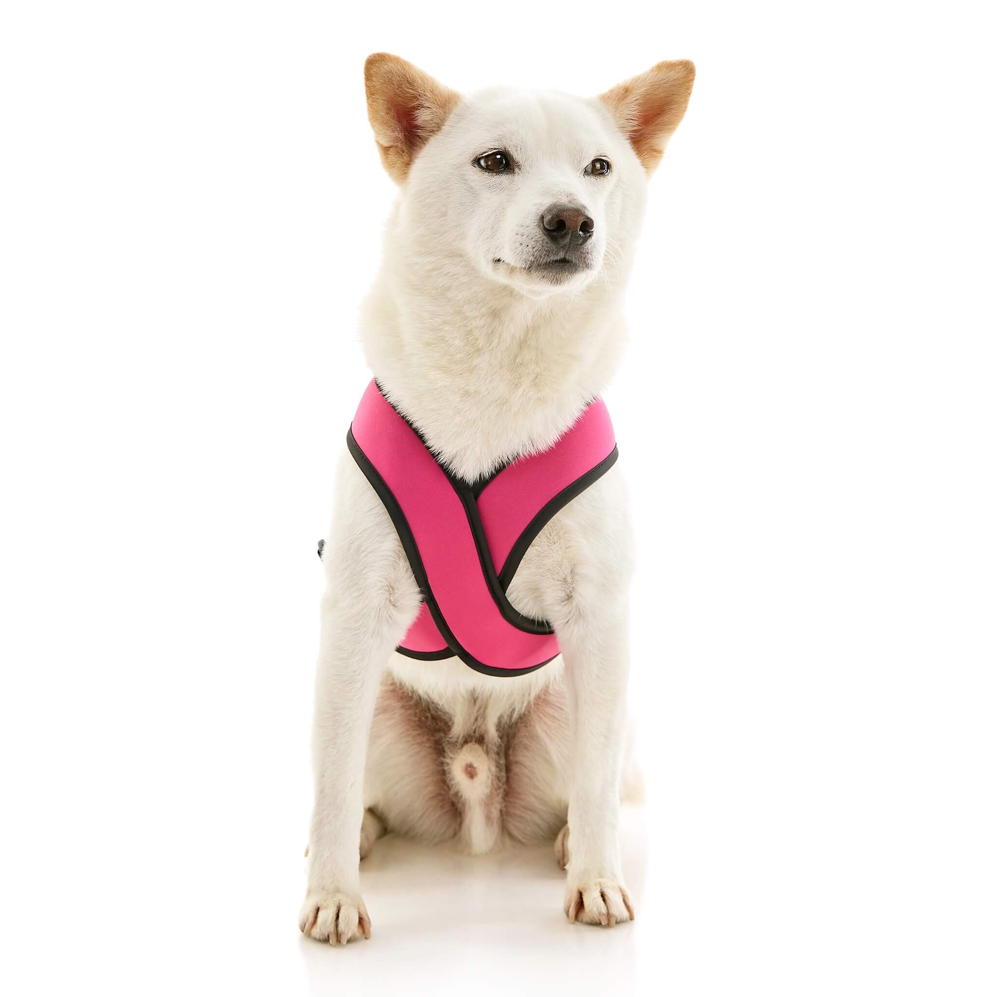 Comfort X Dual Snap Neoprene - Hot Pink – Gooby