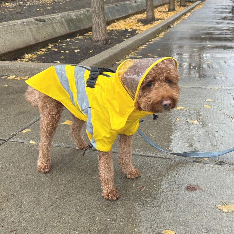 Wind Runner Anorak