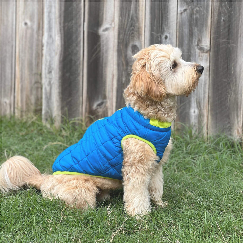 Comfort Vest