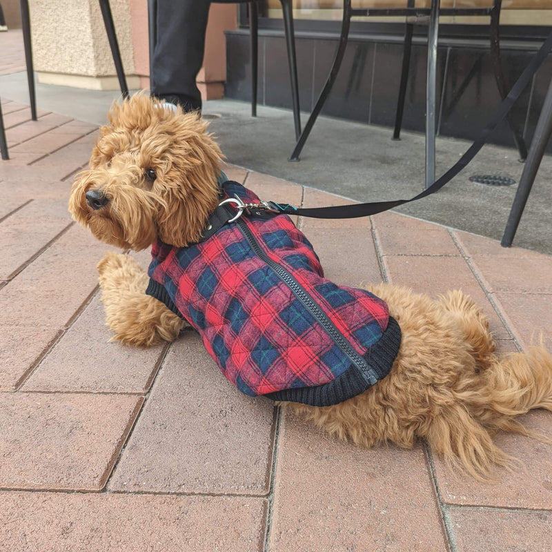 Fashion Vest Check