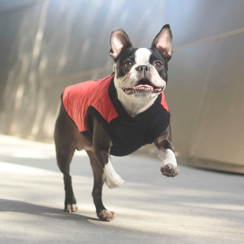 Fashion Vest