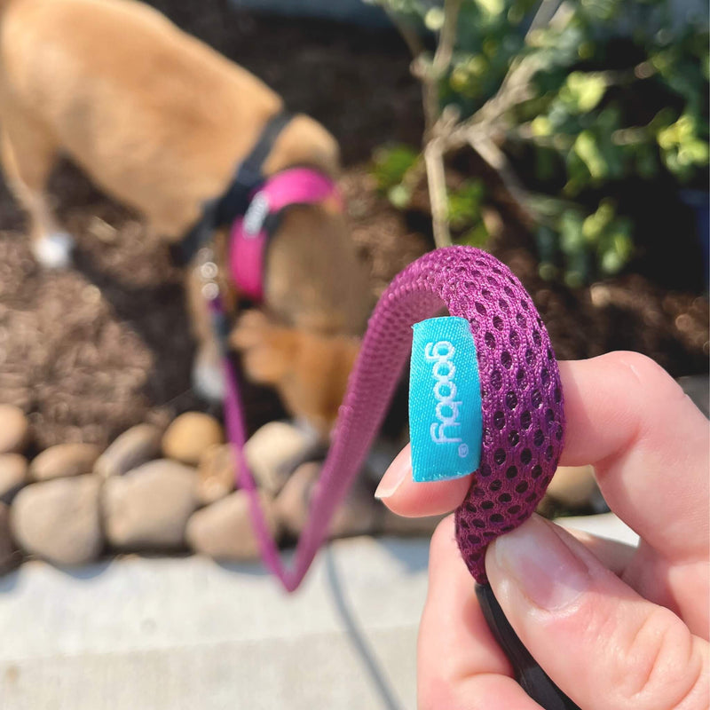 Soft Mesh Leash