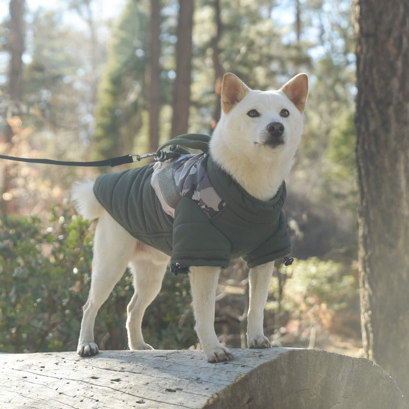 Mountaineer Jacket Camo