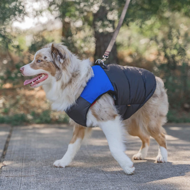 Padded Vest
