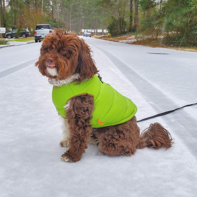 Padded Vest Solid